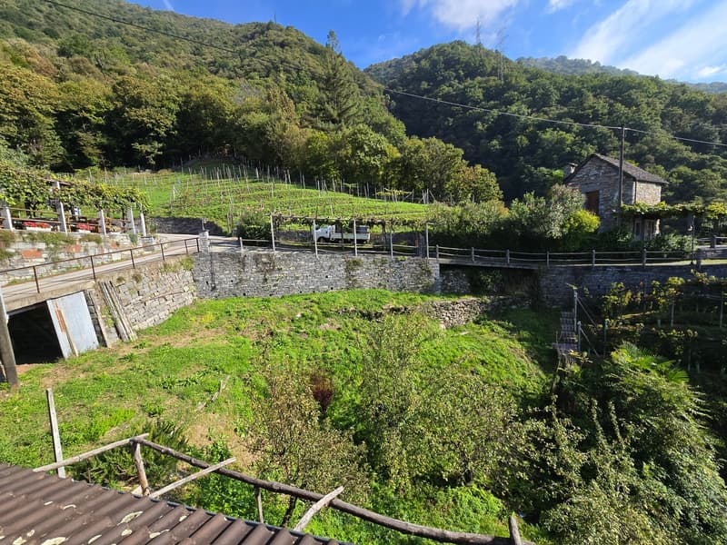 Terreno edificabile di 1029 m2 con vista lago panoramica (7)