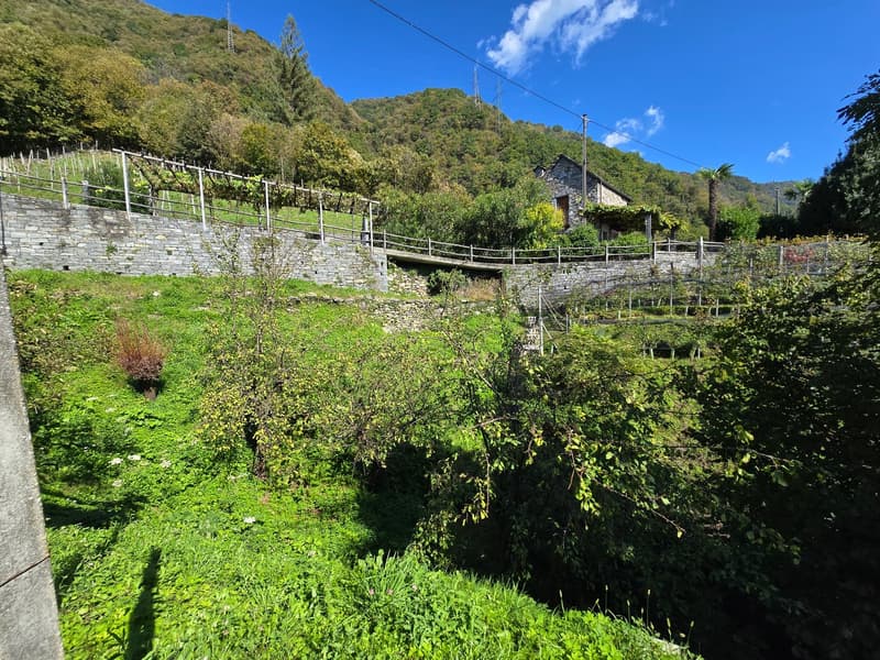 Terreno edificabile di 1029 m2 con vista lago panoramica (5)