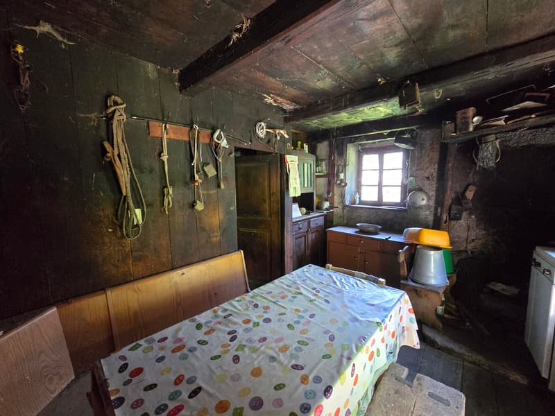 Grosser Stall  zu renovieren mit Zugang, Grundstück und herrlicher Aussicht (8)