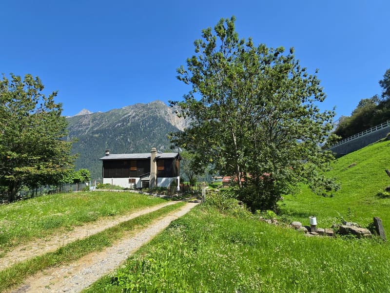 Grosser Stall  zu renovieren mit Zugang, Grundstück und herrlicher Aussicht (13)