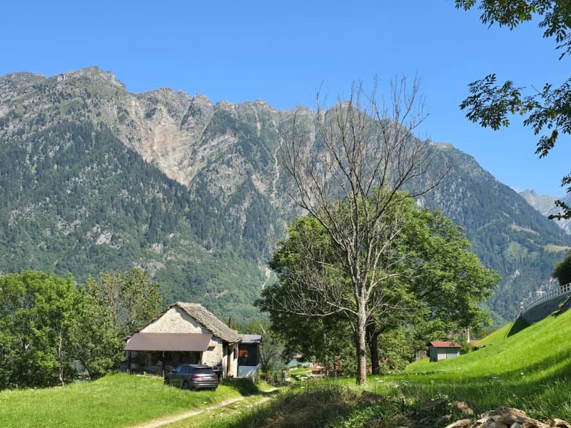 Grosser Stall  zu renovieren mit Zugang, Grundstück und herrlicher Aussicht (6)