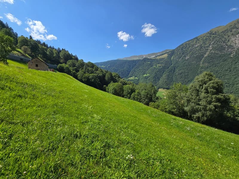 Grosser Stall  zu renovieren mit Zugang, Grundstück und herrlicher Aussicht (4)