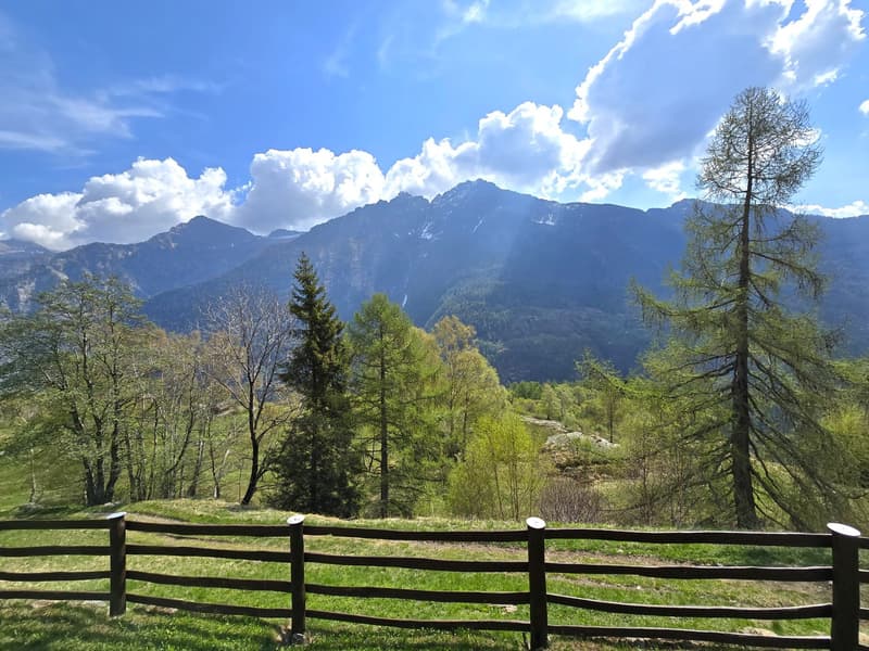 schöne Berghütte inmitten der Natur mit schöner Panoramablick (25)
