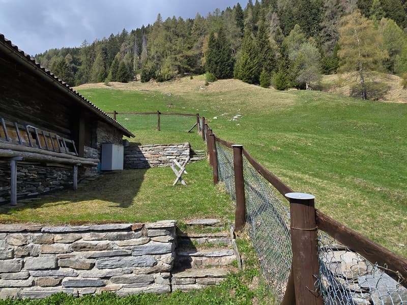 schöne Berghütte inmitten der Natur mit schöner Panoramablick (21)