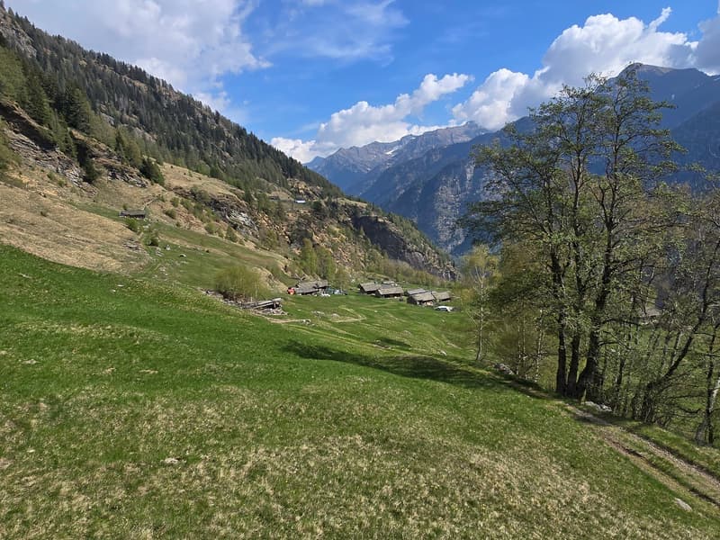 schöne Berghütte inmitten der Natur mit schöner Panoramablick (26)