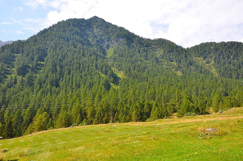 Großer Stall zu rennovieren mit Grundstück und schöner Aussicht (8)