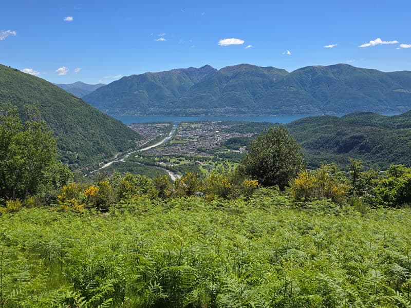 Bauernhaus inmitten der Natur mit Panorama Seeblick (27)
