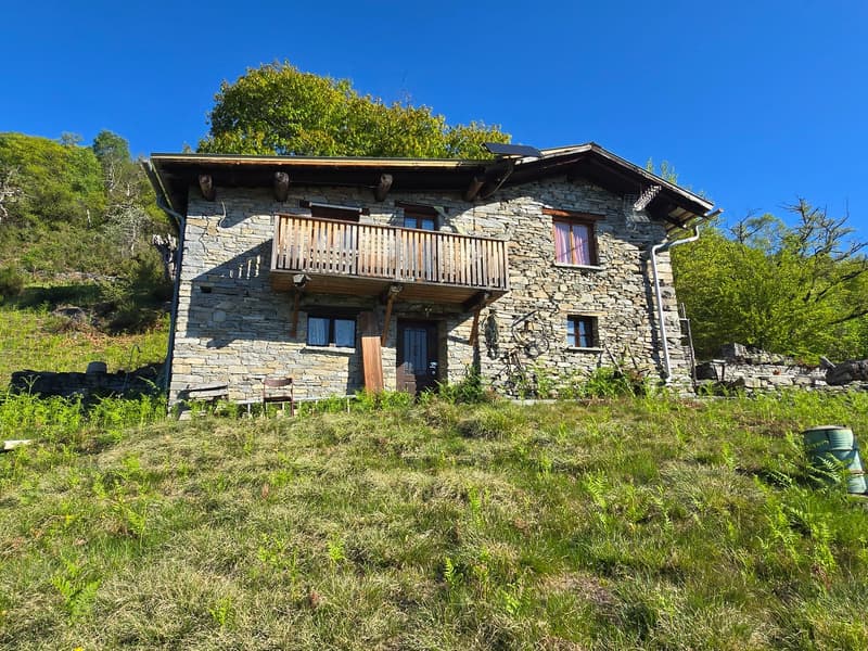Bauernhaus inmitten der Natur mit Panorama Seeblick (2)