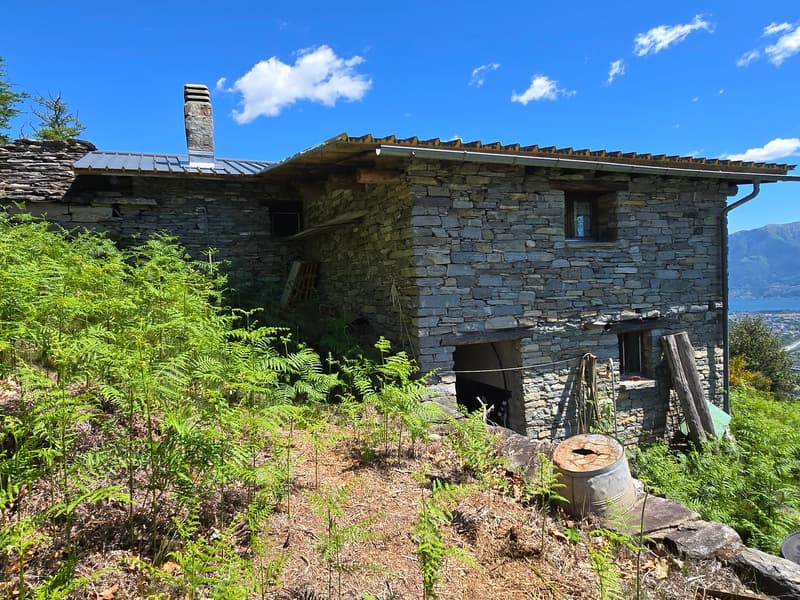 Bauernhaus inmitten der Natur mit Panorama Seeblick (6)