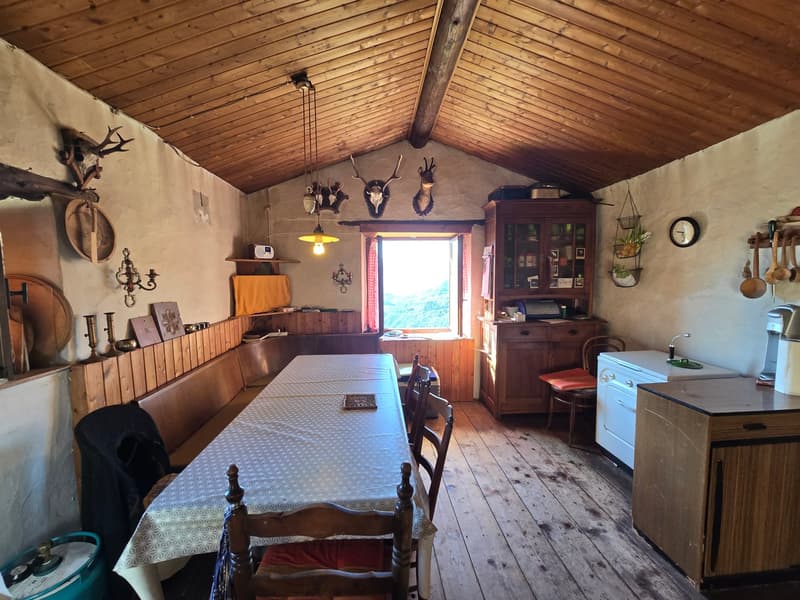 Bauernhaus inmitten der Natur mit Panorama Seeblick (12)