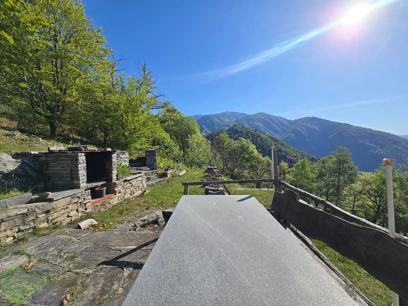 Bauernhaus inmitten der Natur mit Panorama Seeblick (22)
