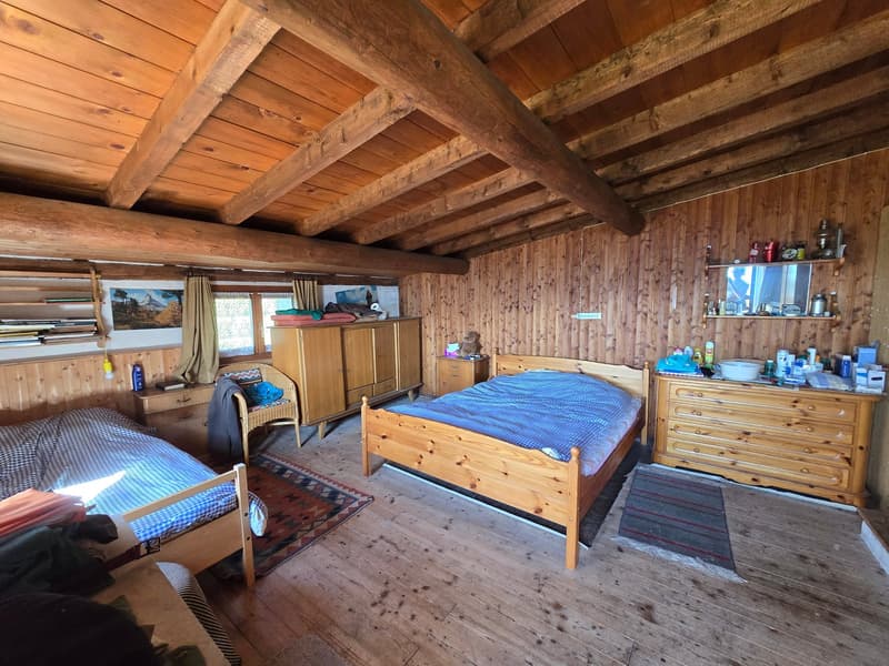 Bauernhaus inmitten der Natur mit Panorama Seeblick (14)