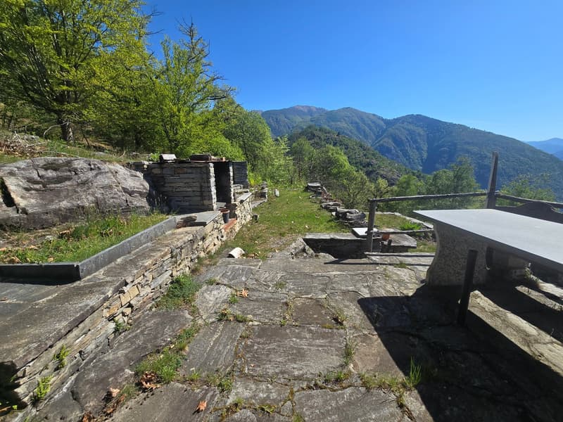Bauernhaus inmitten der Natur mit Panorama Seeblick (23)