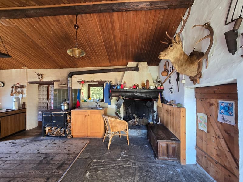 Bauernhaus inmitten der Natur mit Panorama Seeblick (9)