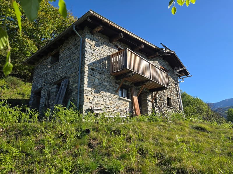 Bauernhaus inmitten der Natur mit Panorama Seeblick (3)