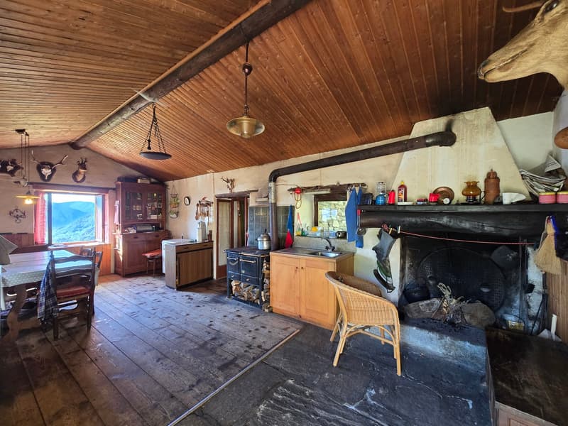 Bauernhaus inmitten der Natur mit Panorama Seeblick (13)
