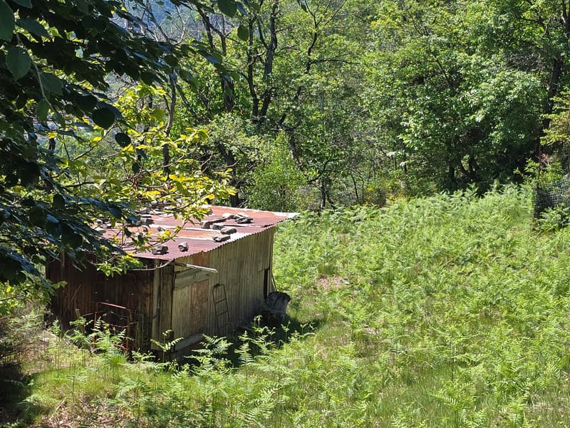 Bauernhaus inmitten der Natur mit Panorama Seeblick (21)