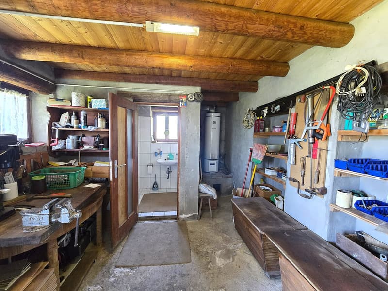 Bauernhaus inmitten der Natur mit Panorama Seeblick (18)
