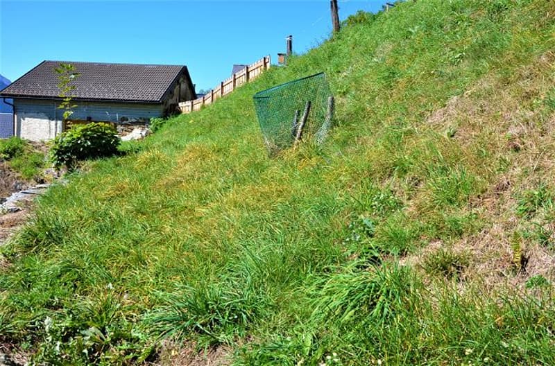 Teilweise renoviertes Rustico mit Baugenehmigung und Grundstück (8)
