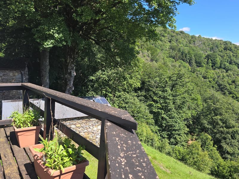 Bauernhaus inmitten der Natur mit Panorama Seeblick (23)