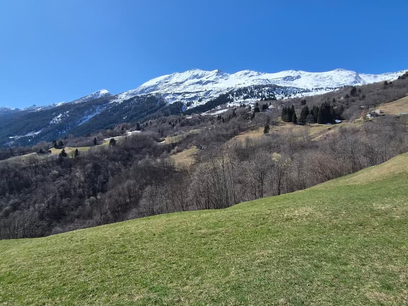 schönes Berghaus inmitten der Natur mit wunderschöner Panoramablick (28)