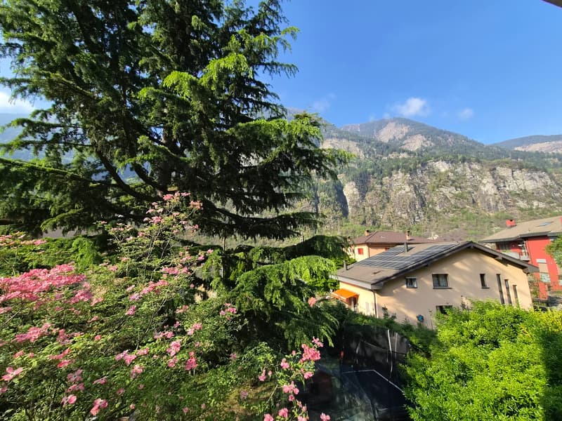 Moderna villa bifamiliare con ampio giardino (31)