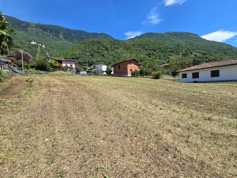 Terreno edificabile di 1559 m2 pianeggiante, soleggiato e tranquillo (1)