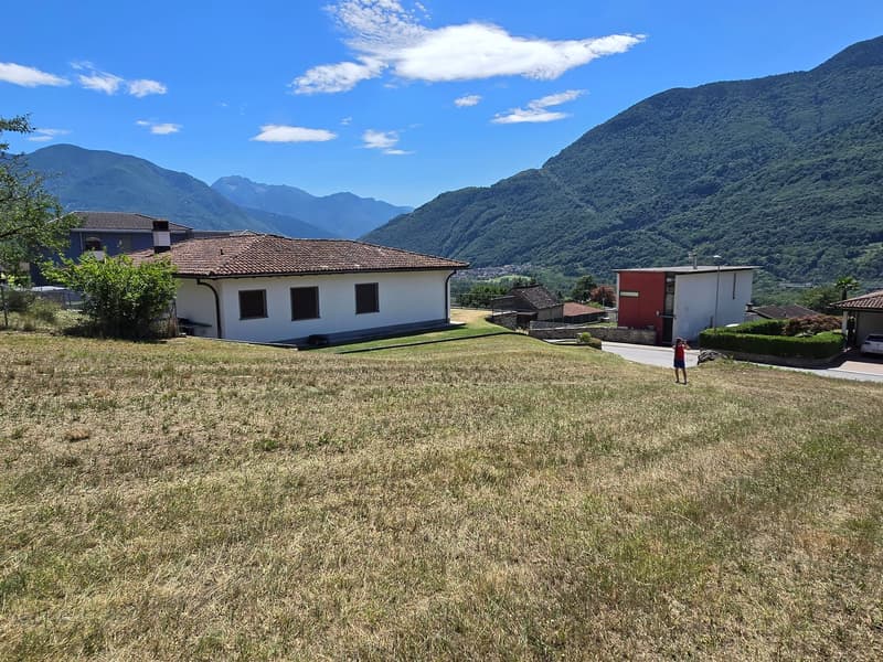 Terreno edificabile di 1559 m2 pianeggiante, soleggiato e tranquillo (9)