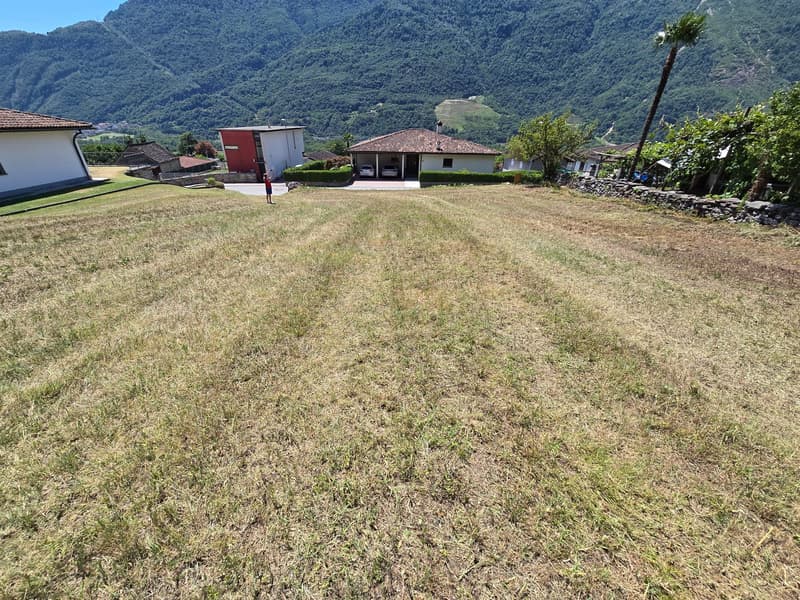 Terreno edificabile di 1559 m2 pianeggiante, soleggiato e tranquillo (3)