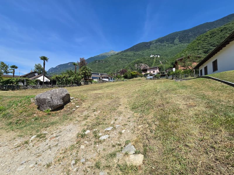 Terreno edificabile di 1559 m2 pianeggiante, soleggiato e tranquillo (2)