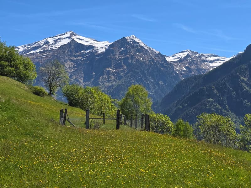 schönes Berghaus mit grossem Land und herrlichem Panoramablick (38)