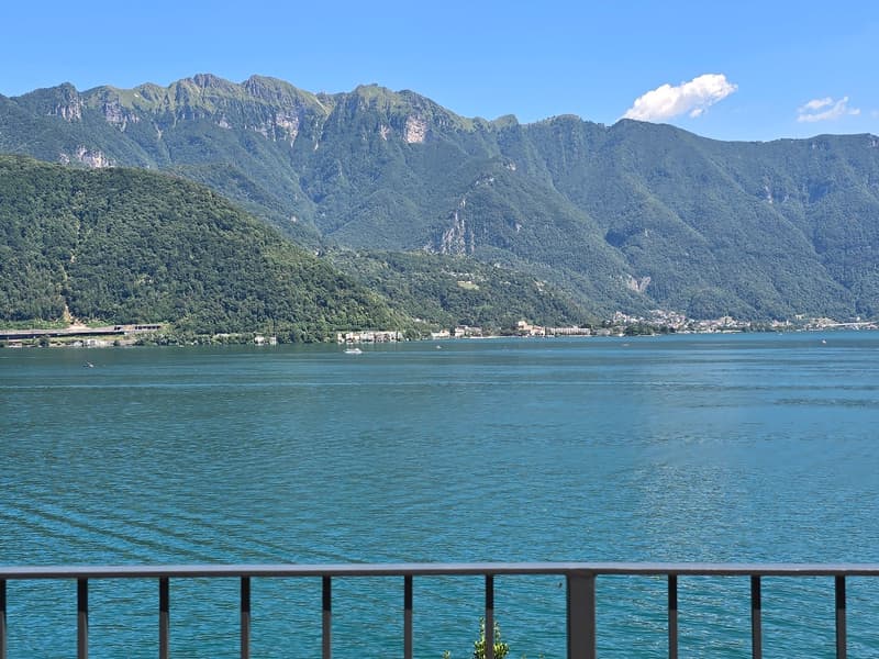 Helle 2,5-Zi. Wohnung mit Seeblick mit Terrasse und Parkplatz (1)