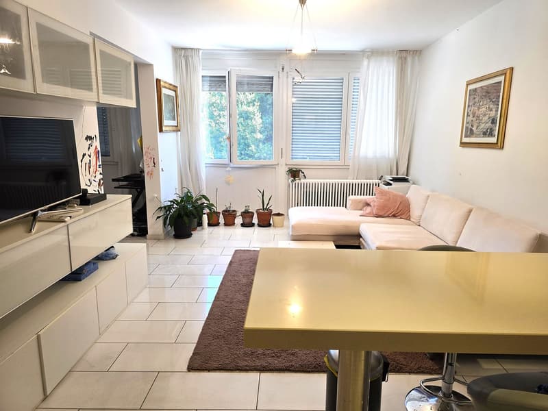 Helle 2,5-Zi. Wohnung mit Seeblick mit Terrasse und Parkplatz (7)