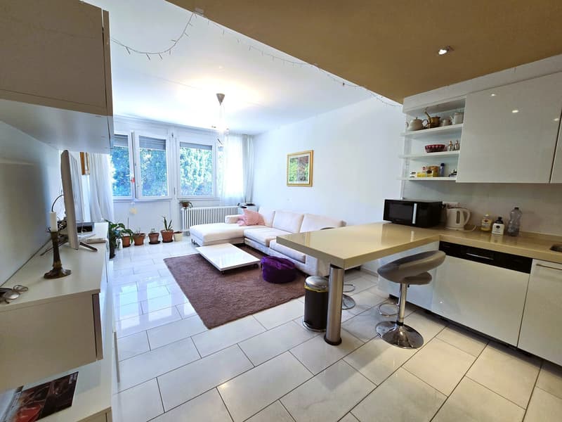 Helle 2,5-Zi. Wohnung mit Seeblick mit Terrasse und Parkplatz (6)