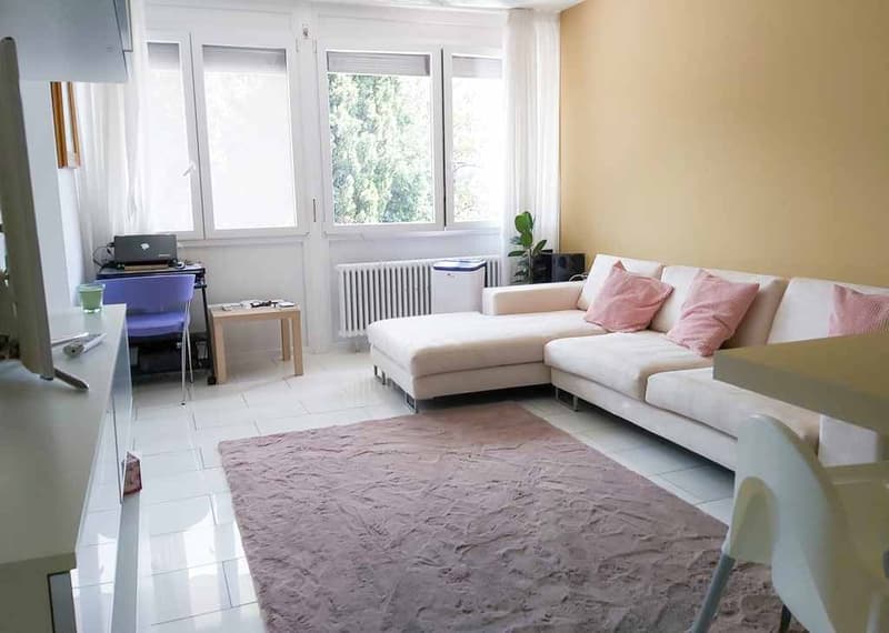 Helle 2,5-Zi. Wohnung mit Seeblick mit Terrasse und Parkplatz (5)