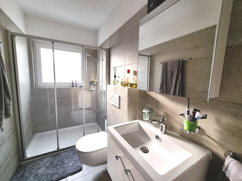 Spazioso appartamento 4,5 loc. con giardino privato (17)