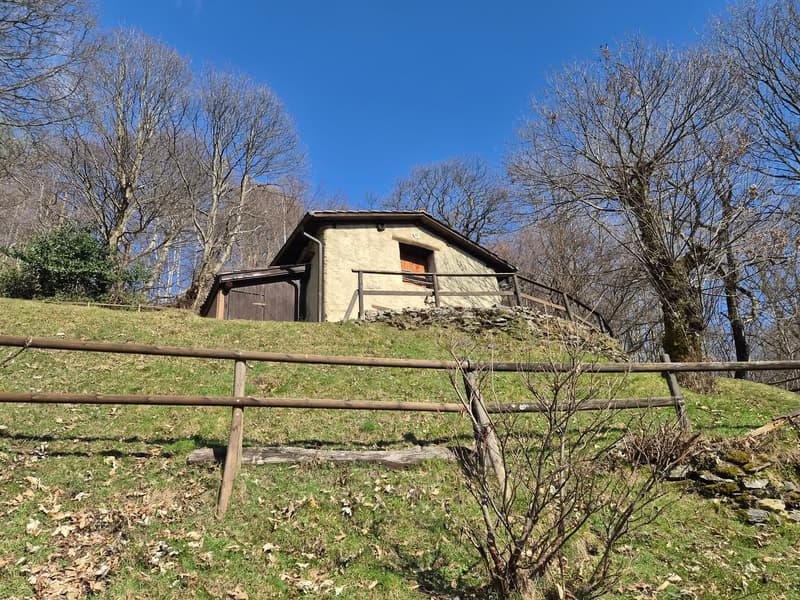Schönes Bauernhaus inmitten der Natur mit Grundstück (22)