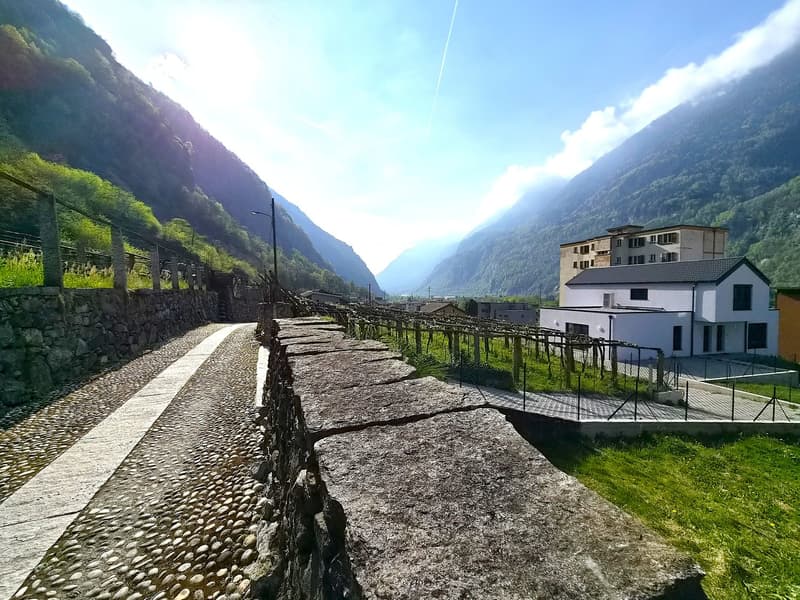 Moderna villa bifamiliare con ampio giardino, anche RENT TO BUY (29)