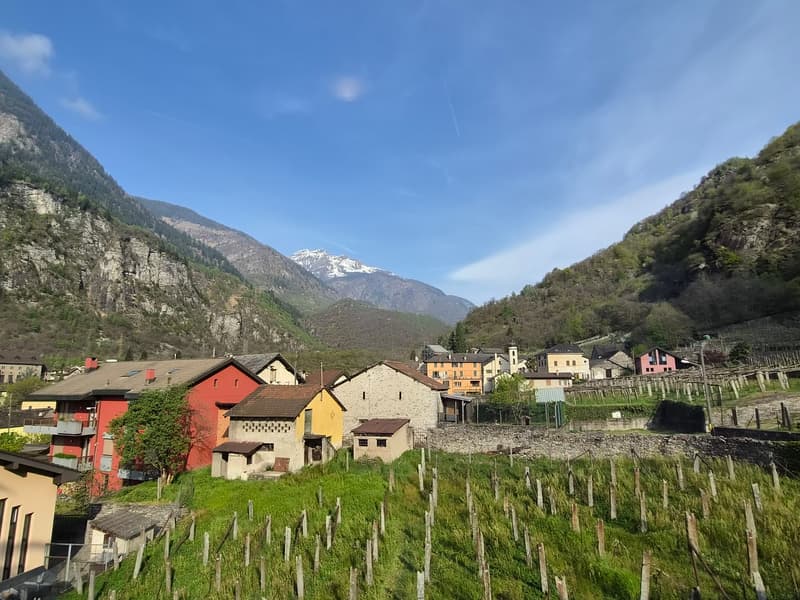 Moderna villa bifamiliare con ampio giardino, anche RENT TO BUY (30)