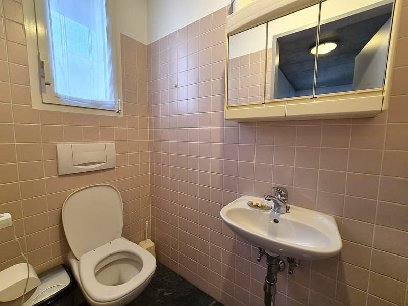 Moderna villa bifamiliare con ampio giardino, anche RENT TO BUY (21)