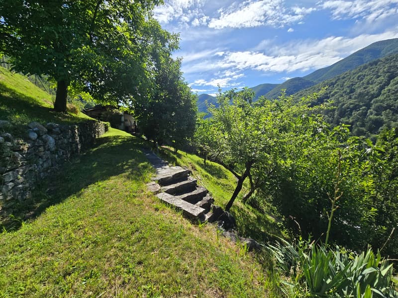 Haus inmitten der Natur mit Grundstück mit herrlicher Aussicht (25)