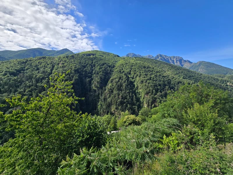 Haus inmitten der Natur mit Grundstück mit herrlicher Aussicht (29)