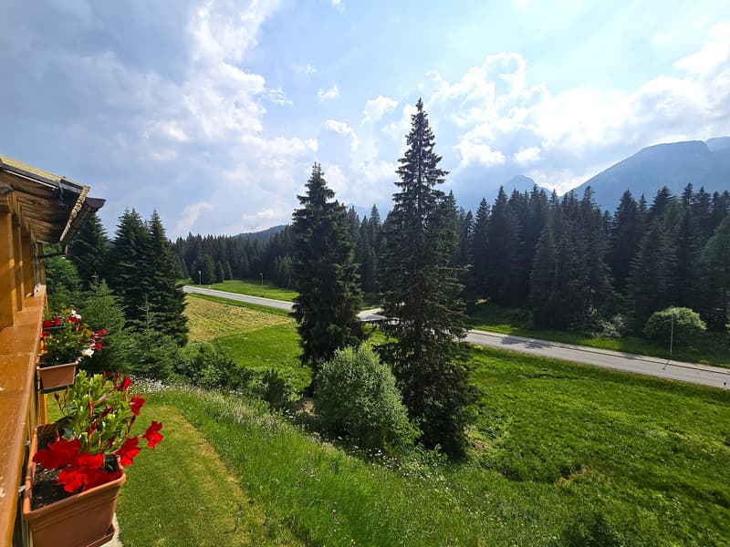 schönes Doppelchalet mit Garten und herrlicher Aussicht (38)