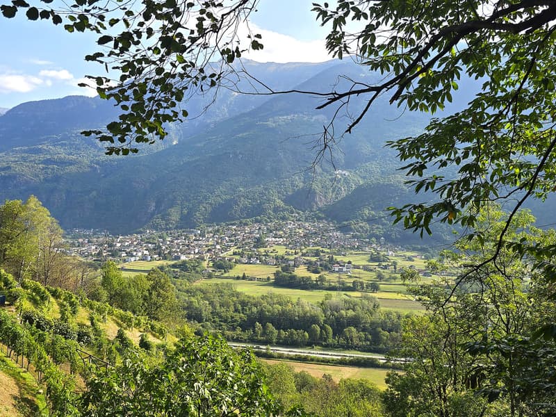 Rustico und Grotto mit grossem Grundstück und schöner Aussicht (21)