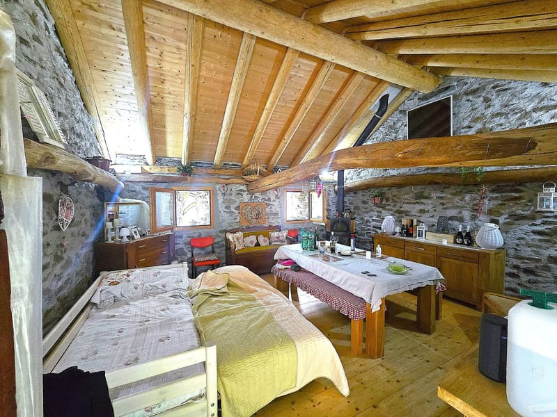 Rustico und Grotto mit grossem Grundstück und schöner Aussicht (8)