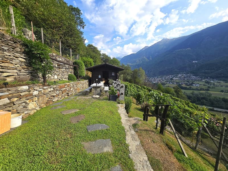 Rustico und Grotto mit grossem Grundstück und schöner Aussicht (18)