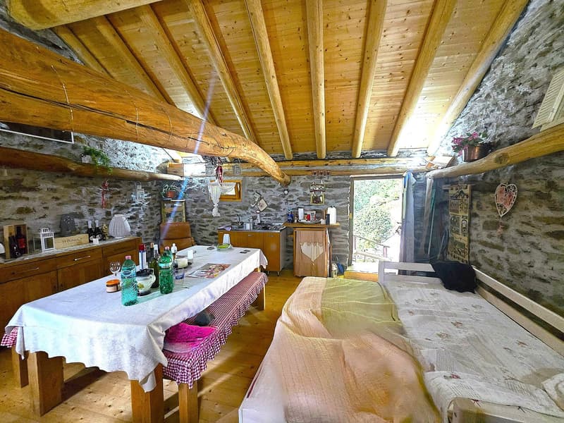 Rustico und Grotto mit grossem Grundstück und schöner Aussicht (5)