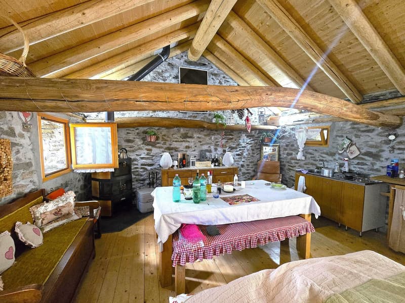 Rustico und Grotto mit grossem Grundstück und schöner Aussicht (6)