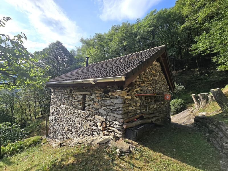 Rustico und Grotto mit grossem Grundstück und schöner Aussicht (3)