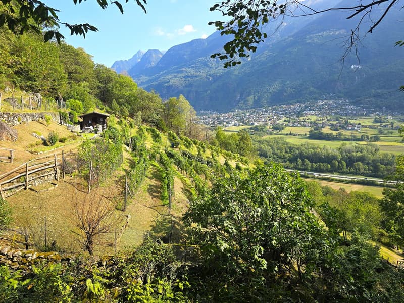 Rustico und Grotto mit grossem Grundstück und schöner Aussicht (26)